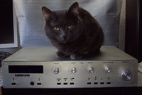 Корпус_01.JPG (158.8 KiB) Viewed 6186 times Корпус_01.JPG